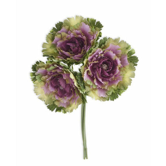 Purple Cabbage Bundle