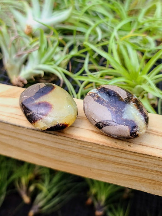 Septarian Crystal Palm Stone