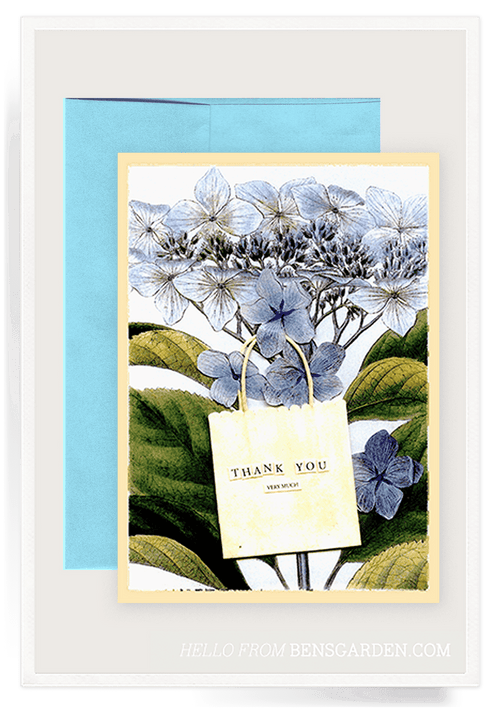 Thank You Hydrangea Greeting Card