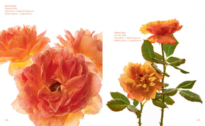 The Color of Roses Book