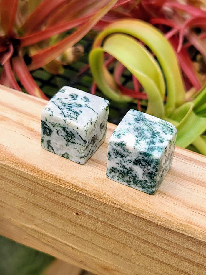 Tree Agate Cube