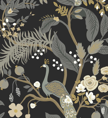 Peacock Wallpaper - Black