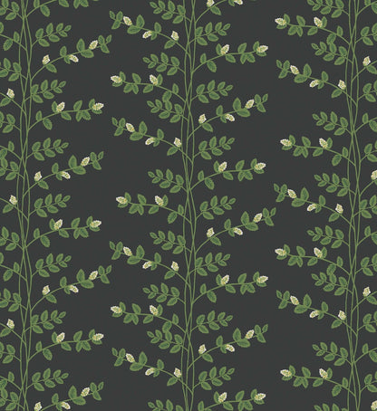 Climbing Vines Wallpaper - Black