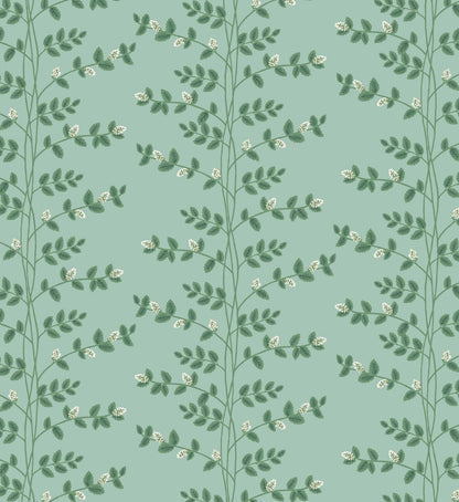 Climbing Vines Wallpaper - Teal