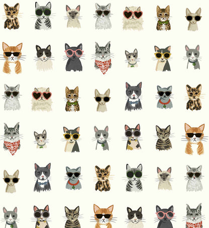 Cool Cats Peel & Stick Wallpaper - White Multi