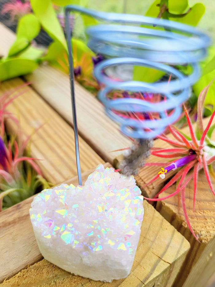 WYSIWYG Aura Quartz Cluster Heart Air Plant Holder with Ionantha Mexican