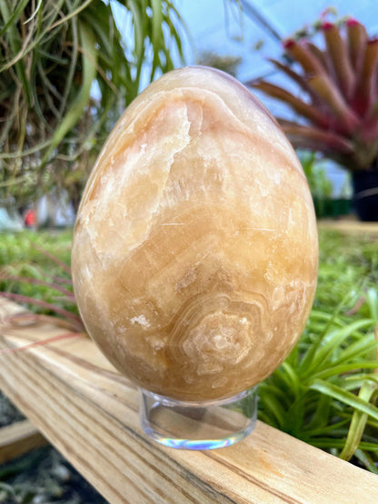 WYSIWYG Banded Jasper Crystal Egg