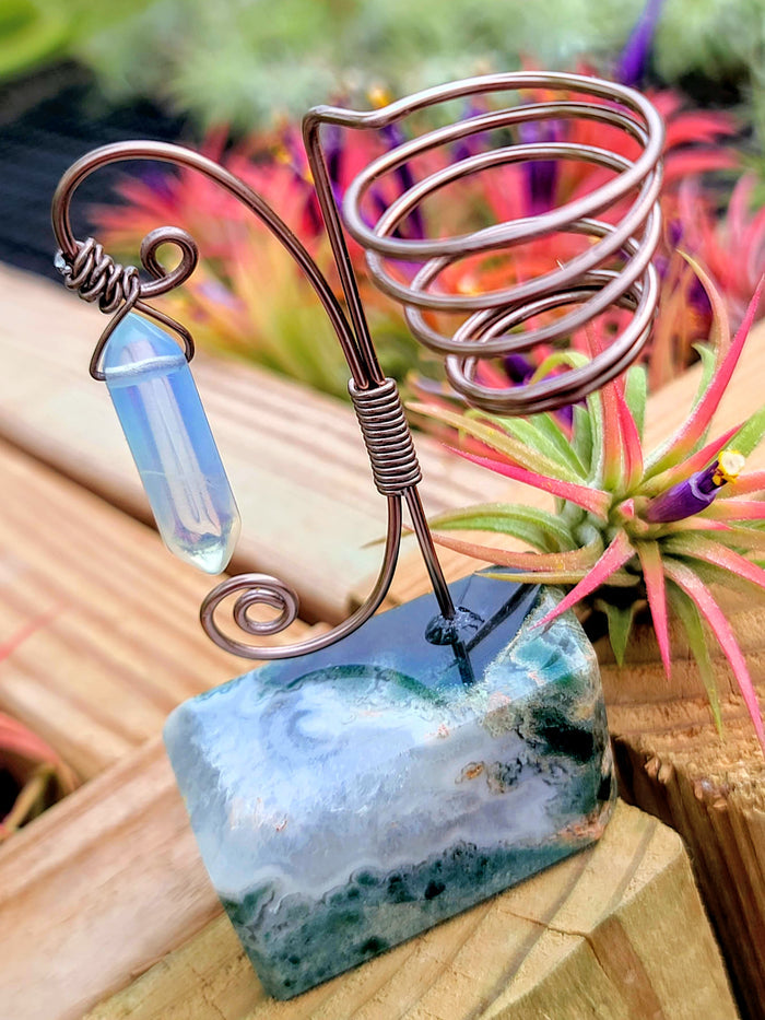 WYSIWYG Moss Agate Crystal Air Plant Holder with Ionantha Mexican