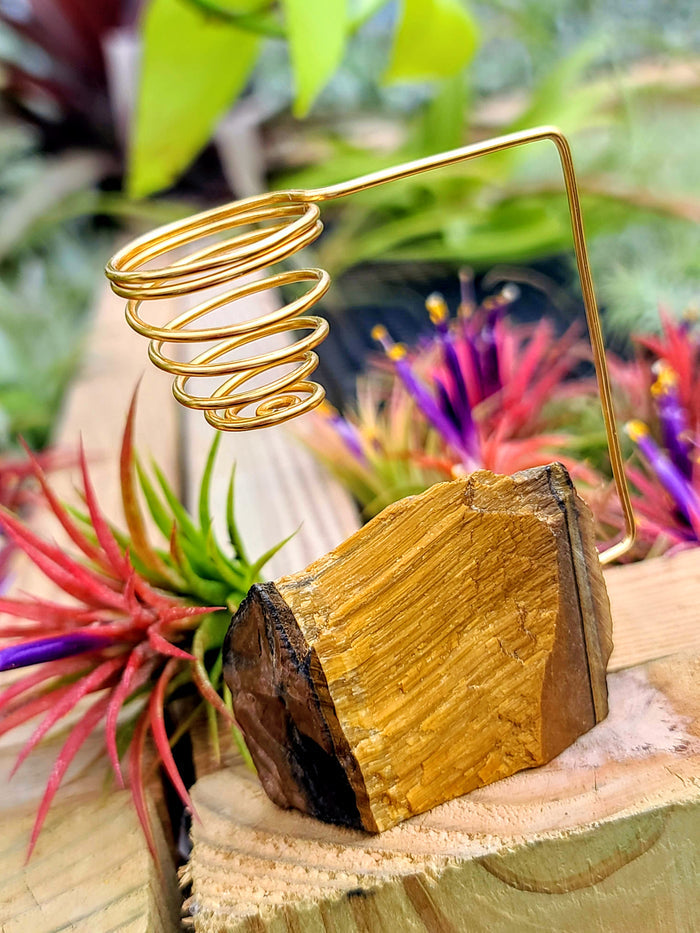 WYSIWYG Tigers Eye Crystal Air Plant Holder with Ionantha Mexican