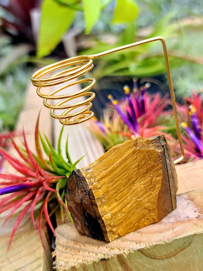 WYSIWYG Tigers Eye Crystal Air Plant Holder with Ionantha Mexican