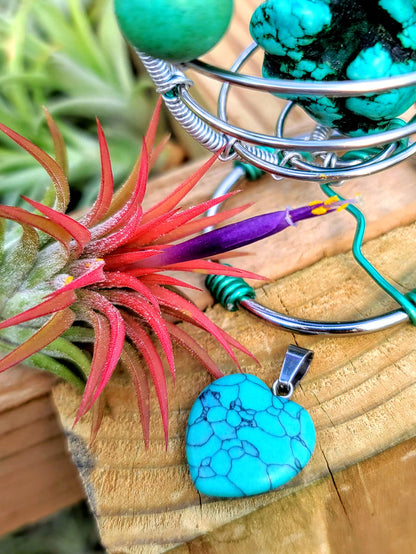 WYSIWYG Turquoise Howlite Air Plant Holder with Ionantha Mexican